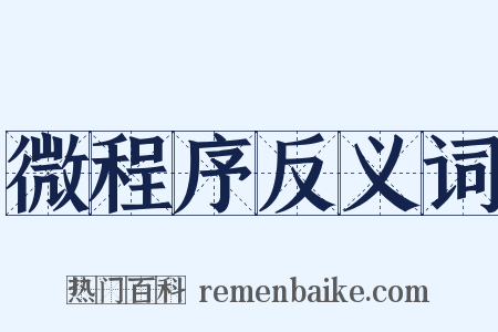 微程序反义词是什么意思的图片